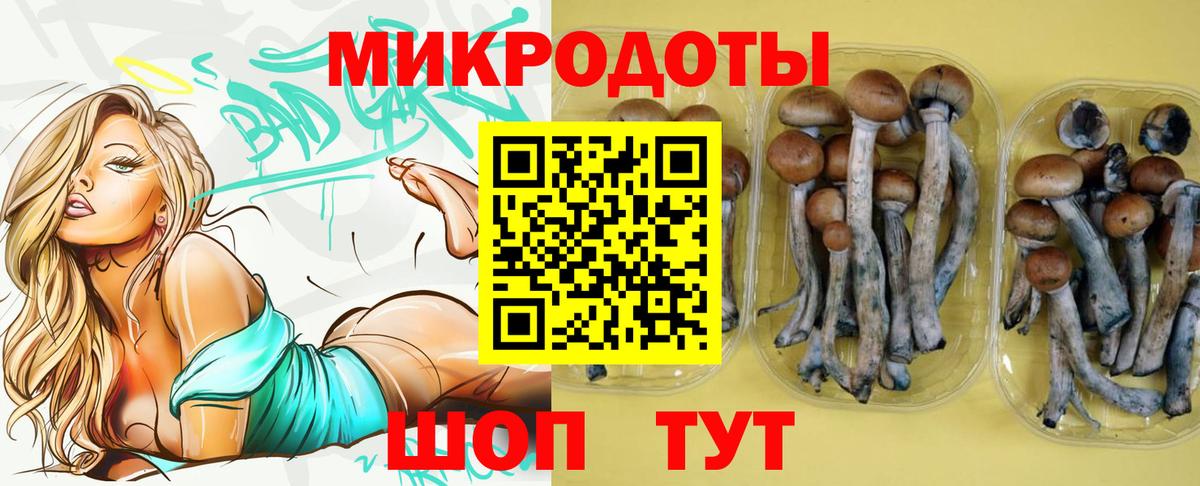 Галлюциногенные грибы Magic Shrooms Видное