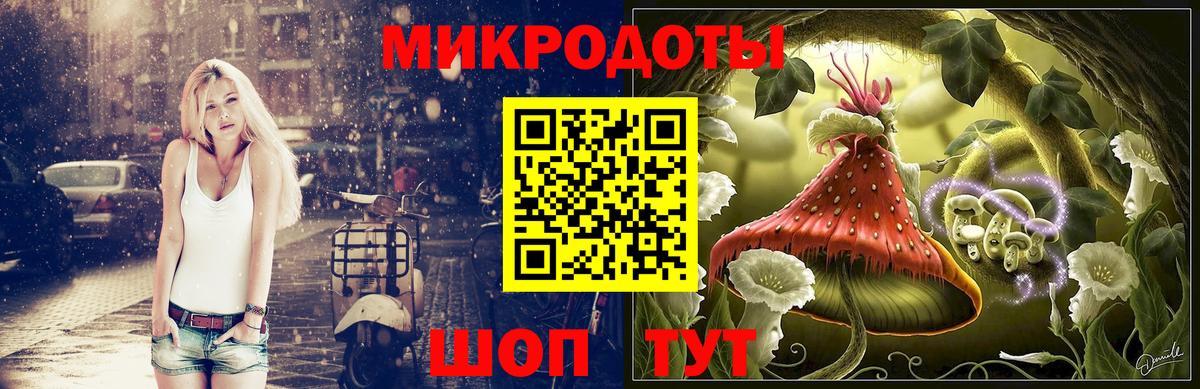 Галлюциногенные грибы Psilocybe  Вход с VPN  Видное 